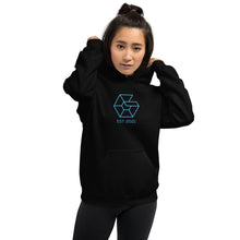 Load image into Gallery viewer, Unisex Est. Logo Hoodie
