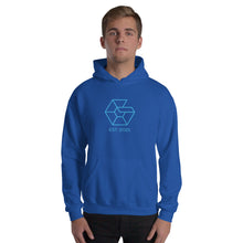 Load image into Gallery viewer, Unisex Est. Logo Hoodie
